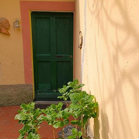 Norina'S House Villa Monterosso al Mare Bagian luar foto