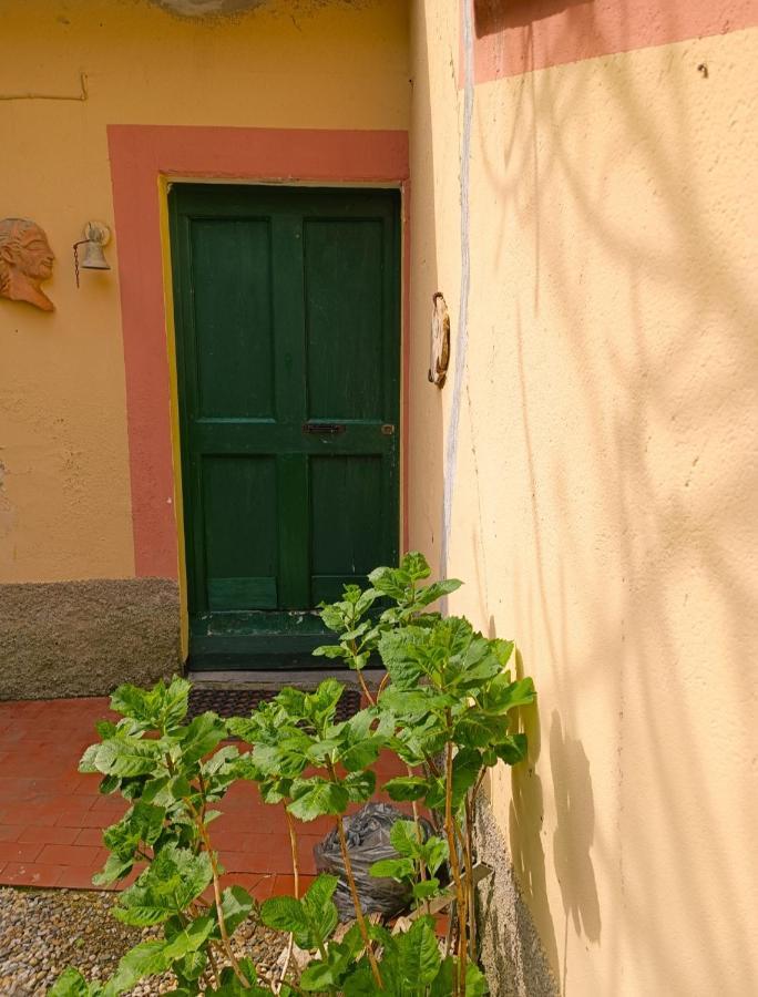 Norina'S House Villa Monterosso al Mare Bagian luar foto